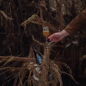 mixed fermentation viburnum berry ale 2022