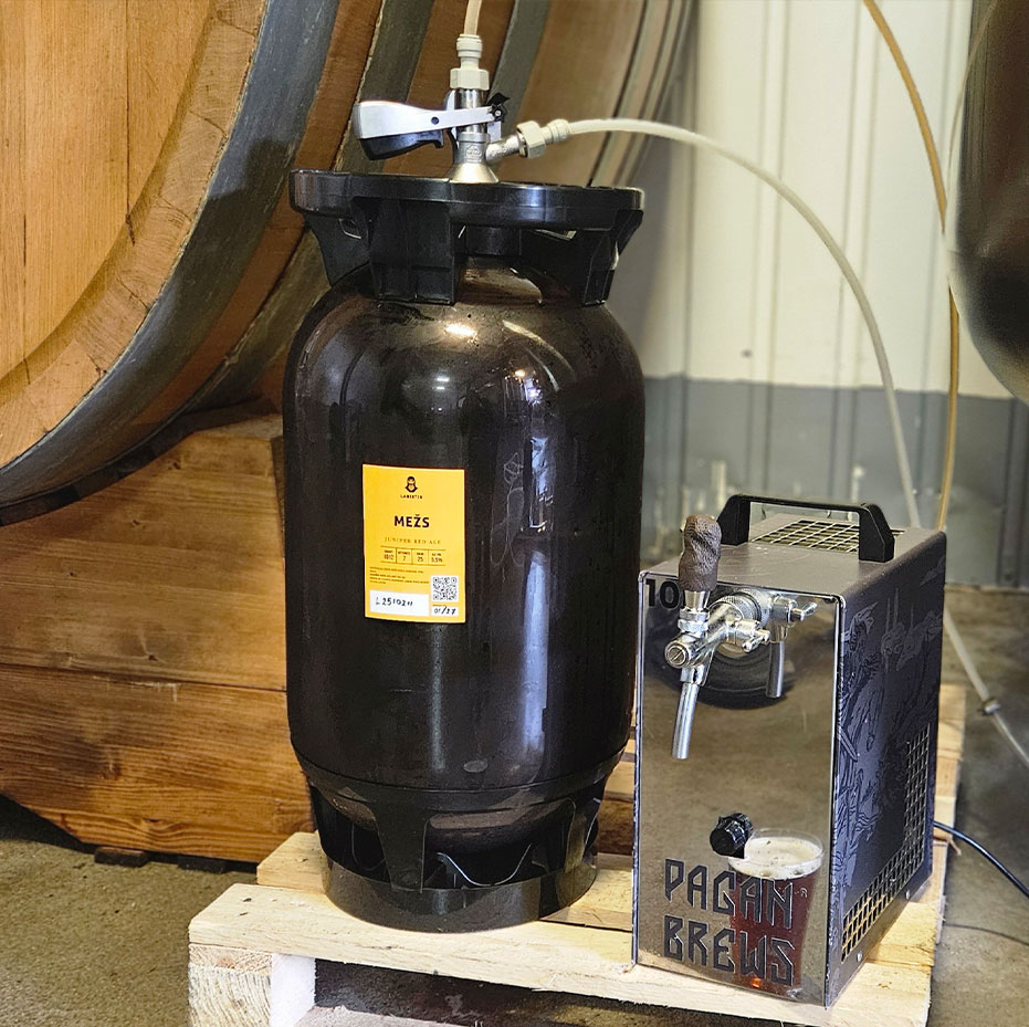 alus_kegs_izlejama_iekarta